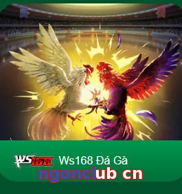 ngonclub cn